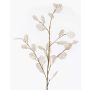 Ramo artificiale di lunaria BUELNA, crema, 105cm