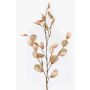 Ramo artificiale di lunaria BUELNA, marrone chiaro, 105cm