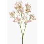 Gypsophila finta LITAGO, rosa, 70cm