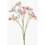 Gypsophila finta LITAGO, lilla, 70cm