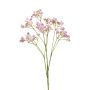 Gypsophila finta LITAGO, lilla, 70cm