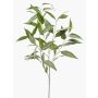 Ramo artificiale di ligustro JUSTEL, verde-grigio, 95cm