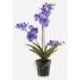 Orchidea vanda finta CAMPO, viola, 60cm