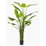 Strelitzia finta BEDAR, verde, 235cm