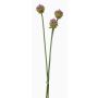 Mazzo di fiori artificiali di allium LAMDA, viola-verde, 65cm