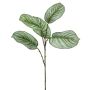 Ramo artificiale di Calathea Orbifolia ALNIYAT, verde-bianco, 75cm