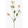 Lisianthus artificiale PAZAN, rosa-crema, 70cm