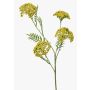 Achillea artificiale THUBAN, gialla, 60cm