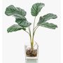 Calathea Orbifolia artificiale AGINA in vaso di vetro, verde-bianco, 35cm