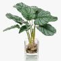 Calathea Orbifolia artificiale AGINA in vaso di vetro, verde-bianco, 40cm