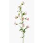 Campanula decorativa AIMI, rosa-crema, 90cm