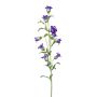 Campanula decorativa AIMI, viola-crema, 90cm