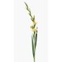 Gladiolo artificiale AJNUR, giallo, 125cm