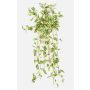 Pianta artificiale Tradescantia zebrina DIHALLO su bastone, pendente, verde-bianco, 70 cm