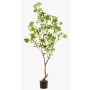 Albero artificiale pianta del tè GUSHON, tronco artificiale, verde, 185cm