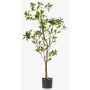 Albero artificiale pianta del tè GUSHON, tronco artificiale, verde, 120 cm