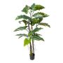 Pianta artificiale Colocasia KLARHEN, radici, tronco artificiale, verde, 180 cm