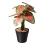 Pianta artificiale Caladium WEHNDAS, vaso decorativo, verde-rosso, 30 cm