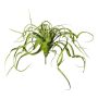 Succulenta artificiale Tillandsia streptophylla KRIFT, bastone, verde, 70 cm