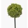 Allium artificiale TUXLON, verde, 75 cm