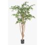 Pianta artificiale acero giapponese ILIANU, tronchi reali, verde, 180 cm