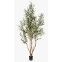 Olivo artificiale JALO con frutti, tronco vero, verde, 220 cm