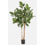 Fico banyan artificiale LEIFA con liane, tronco vero, verde, 170 cm