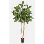 Albero di fico banyan artificiale LEIFA con liane, tronco vero, verde, 200 cm