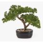 Bonsai artificiale pino KANYA in vaso, 25 cm
