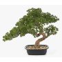 Bonsai artificiale di pino KANYA in vaso, 45 cm