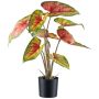 Pianta artificiale Caladium STAHER, radici, rosso-verde, 55 cm