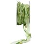 Nastro decorativo CARESA in chiffon e raso, verde, 5 m, 20 mm
