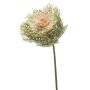 Ramo artificiale cavolo ornamentale FOXLIN, rosa chiaro-verde, 65 cm