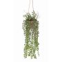 Fioriera artificiale Fico rampicante GREGORIOS in vaso decorativo, radici, verde, 90 cm