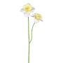 Fiore artificiale narciso FULKO, bianco-giallo chiaro, 55 cm