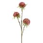 Ramo artificiale allium GLORF, rosa, 60 cm