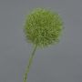 Fiore artificiale Allium GLORF, verde, 75 cm