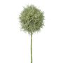Fiore artificiale Allium GLORF, grigio-verde, 75 cm