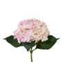 Fiore artificiale ortensia ZURTO, rosa chiaro, 55 cm