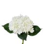 Fiore artificiale ortensia ZURTO, bianco, 55 cm