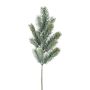Ramo decorativo abete blu SLOVAN, ghiacciato, bianco-verde, 50cm
