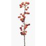 Ramo decorativo di melo ornamentale KELZAR con frutti, rosso, 85 cm