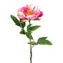 Fiore artificiale peonia PEFIN, rosa shocking, 50 cm
