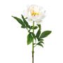 Fiore artificiale peonia PEFIN, bianco, 50 cm