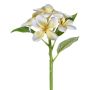 Fiore artificiale Frangipani KHENIS, giallo-crema, 30 cm