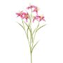Ramo artificiale Giglio PLOMIX, rosa scuro, 65 cm