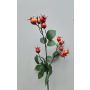 Ramo decorativo Rosa di patata LOPUNY con bacche di rosa canina, arancione, 70 cm
