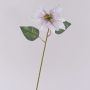 Poinsettia artificiale in velluto LIBASSE, bianco-rosa, 45 cm