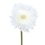 Fiore artificiale Gerbera TUNZA, bianco, 50 cm