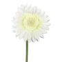 Fiore artificiale Gerbera TUNZA, crema, 50 cm